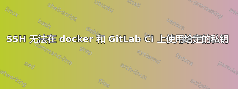 SSH 无法在 docker 和 GitLab CI 上使用给定的私钥