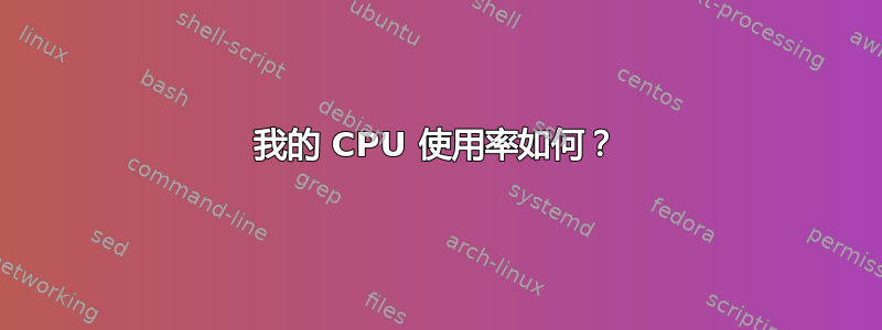 我的 CPU 使用率如何？