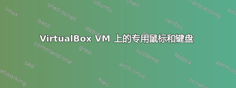 VirtualBox VM 上的专用鼠标和键盘