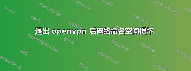 退出 openvpn 后网络命名空间损坏