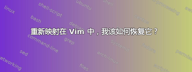 重新映射在 Vim 中，我该如何恢复它？