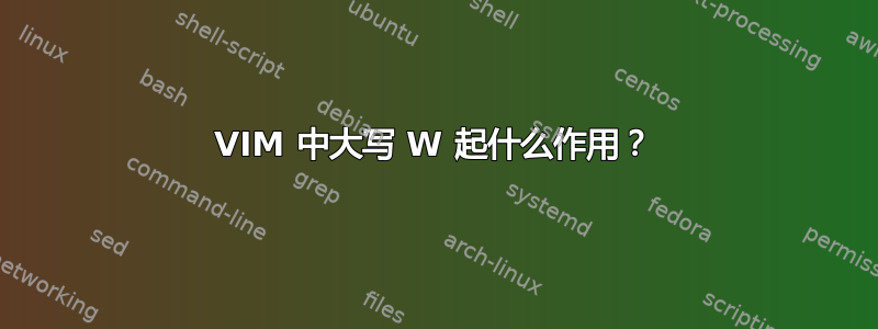 VIM 中大写 W 起什么作用？