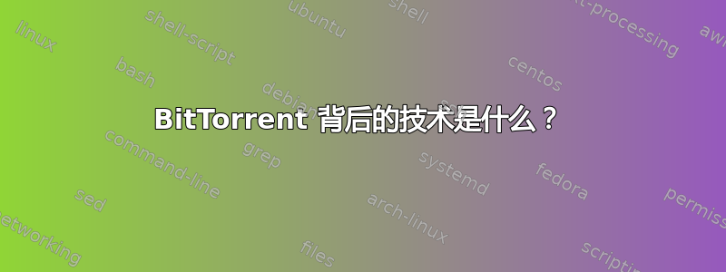 BitTorrent 背后的技术是什么？