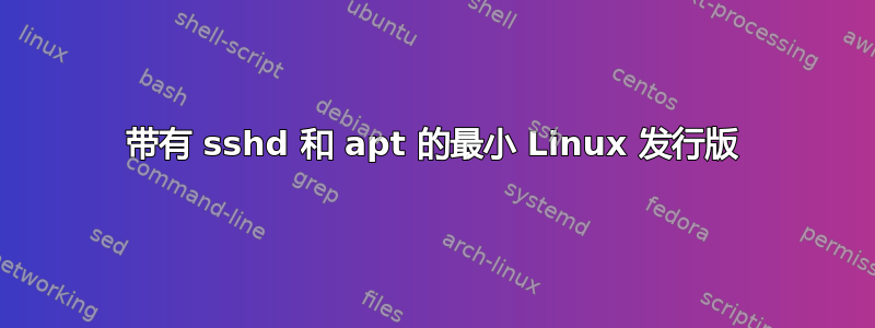 带有 sshd 和 apt 的最小 Linux 发行版