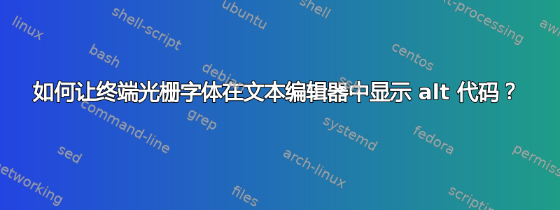 如何让终端光栅字体在文本编辑器中显示 alt 代码？