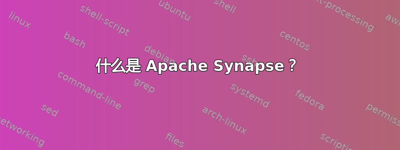 什么是 Apache Synapse？