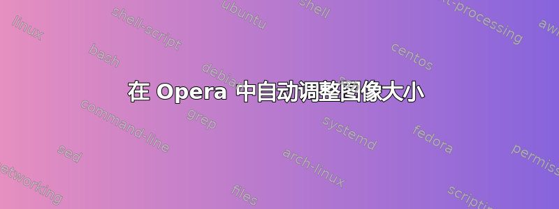 在 Opera 中自动调整图像大小