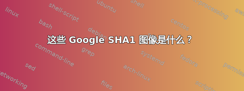 这些 Google SHA1 图像是什么？