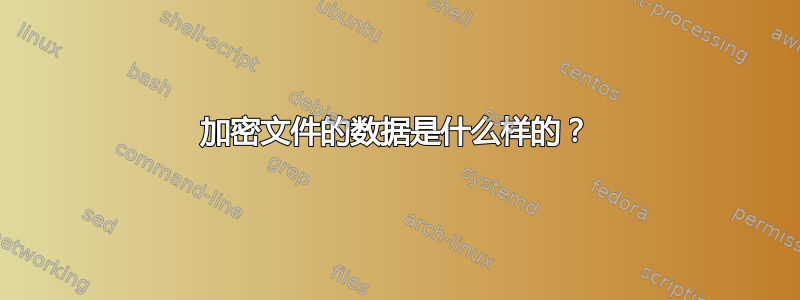 加密文件的数据是什么样的？