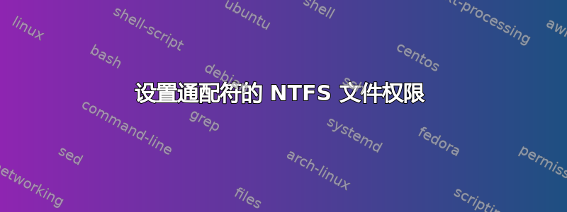 设置通配符的 NTFS 文件权限