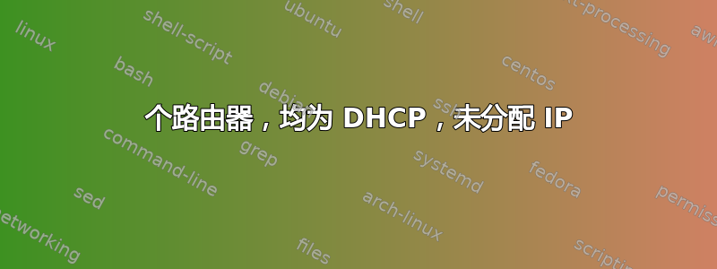 2 个路由器，均为 DHCP，未分配 IP