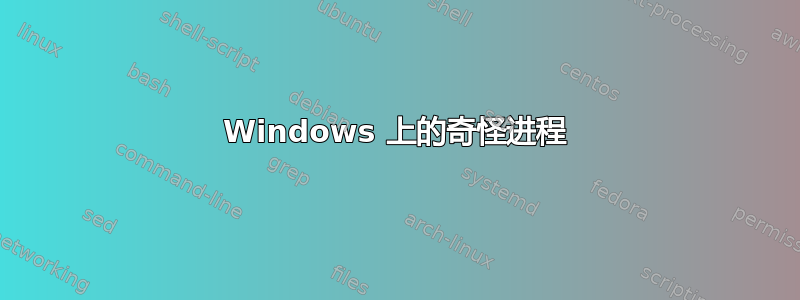 Windows 上的奇怪进程