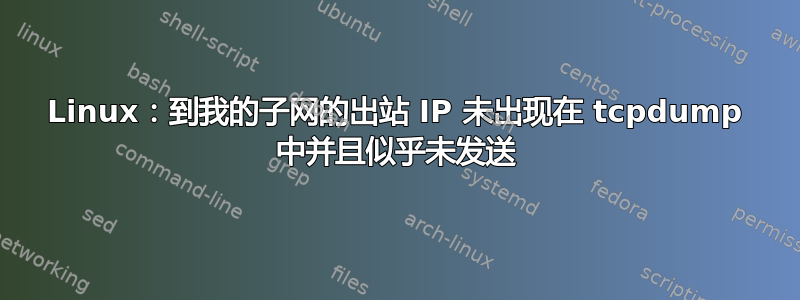 Linux：到我的子网的出站 IP 未出现在 tcpdump 中并且似乎未发送