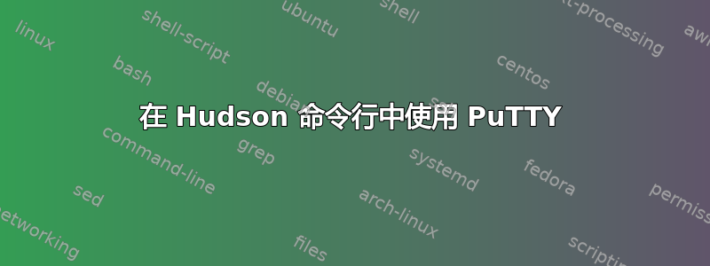 在 Hudson 命令行中使用 PuTTY