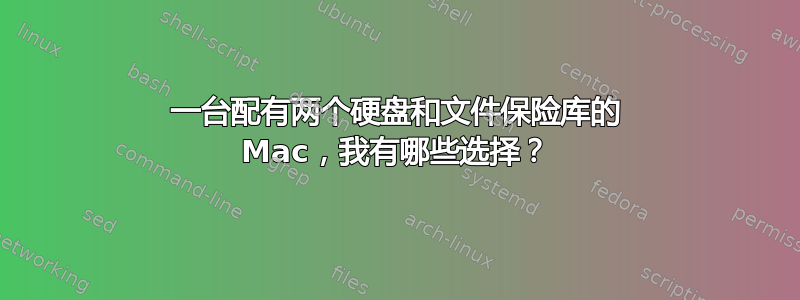 一台配有两个硬盘和文件保险库的 Mac，我有哪些选择？