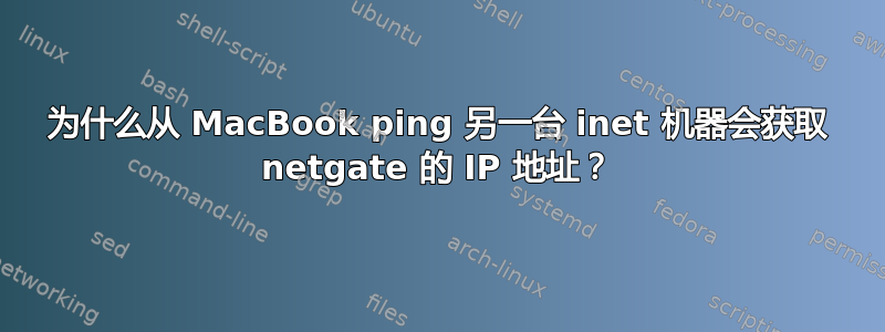 为什么从 MacBook ping 另一台 inet 机器会获取 netgate 的 IP 地址？