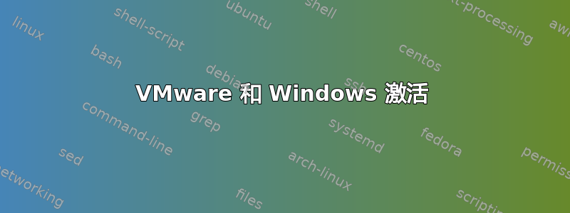 VMware 和 Windows 激活