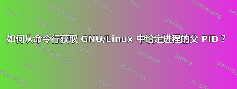 如何从命令行获取 GNU/Linux 中给定进程的父 PID？