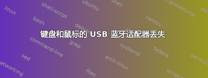 键盘和鼠标的 USB 蓝牙适配器丢失