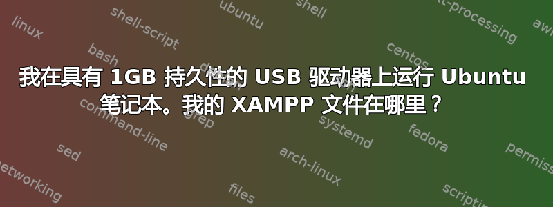 我在具有 1GB 持久性的 USB 驱动器上运行 Ubuntu 笔记本。我的 XAMPP 文件在哪里？