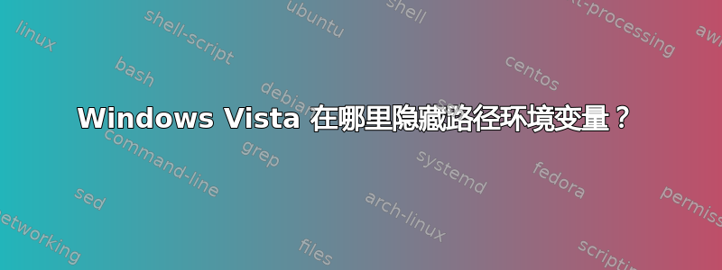 Windows Vista 在哪里隐藏路径环境变量？