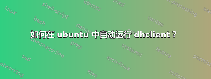 如何在 ubuntu 中自动运行 dhclient？