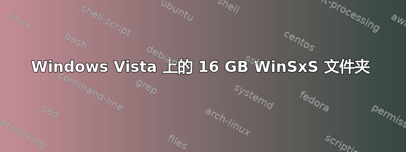 Windows Vista 上的 16 GB WinSxS 文件夹