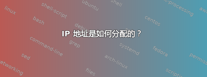 IP 地址是如何分配的？