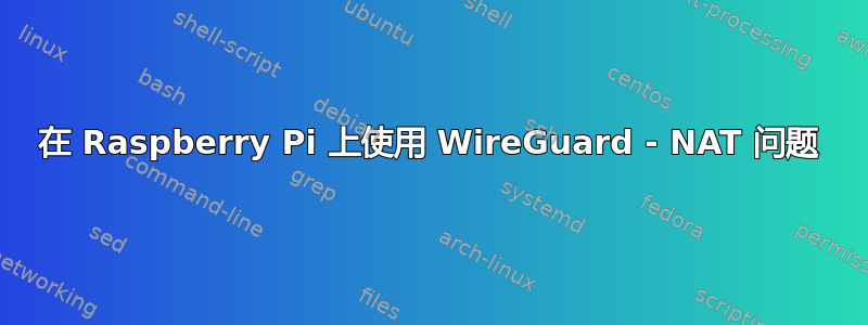 在 Raspberry Pi 上使用 WireGuard - NAT 问题