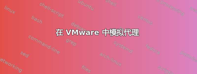 在 VMware 中模拟代理