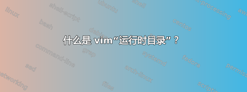 什么是 vim“运行时目录”？