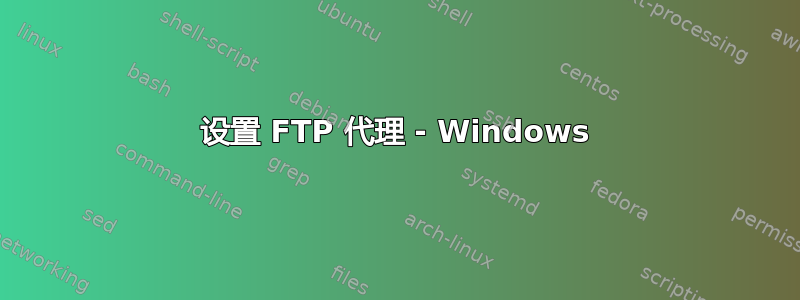 设置 FTP 代理 - Windows