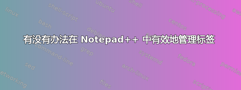 有没有办法在 Notepad++ 中有效地管理标签