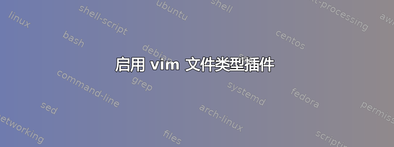 启用 vim 文件类型插件