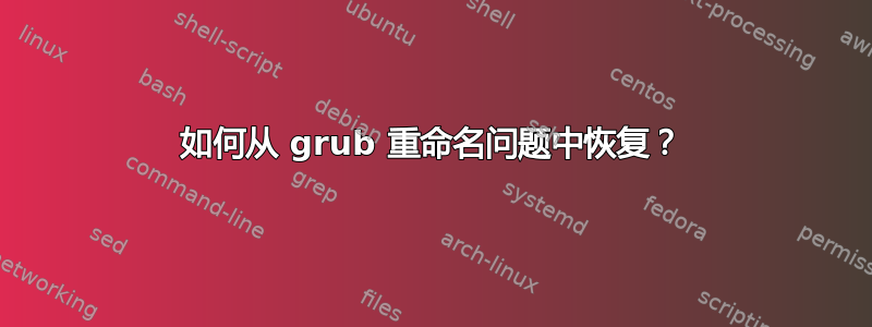 如何从 grub 重命名问题中恢复？