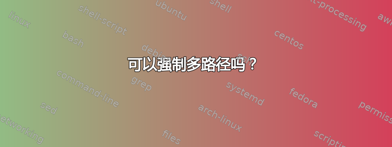 可以强制多路径吗？