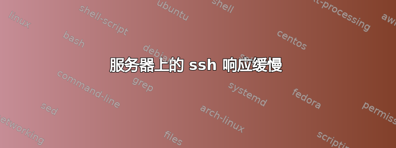 服务器上的 ssh 响应缓慢