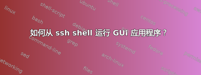 如何从 ssh shell 运行 GUI 应用程序？