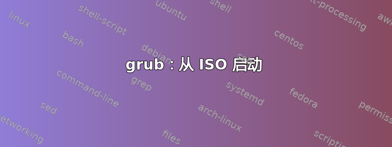 grub：从 ISO 启动