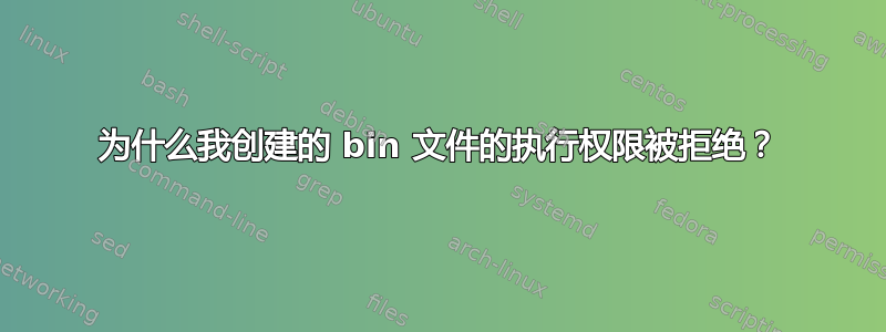 为什么我创建的 bin 文件的执行权限被拒绝？