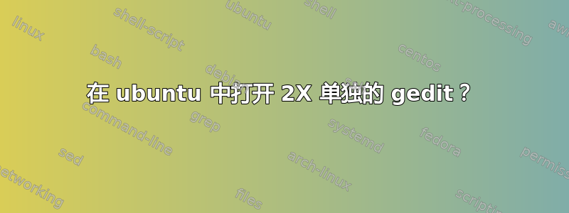 在 ubuntu 中打开 2X 单独的 gedit？