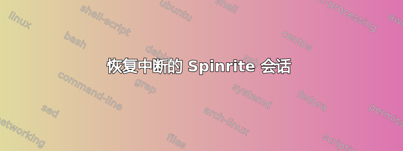 恢复中断的 Spinrite 会话