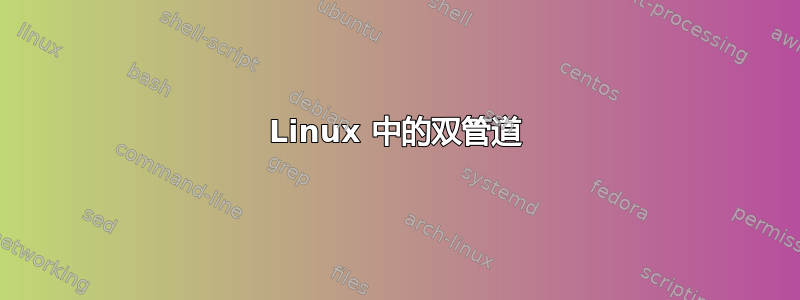 Linux 中的双管道