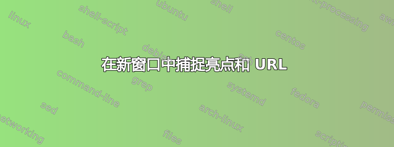 在新窗口中捕捉亮点和 URL