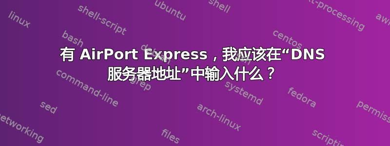 有 AirPort Express，我应该在“DNS 服务器地址”中输入什么？