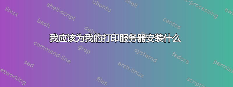 我应该为我的打印服务器安装什么