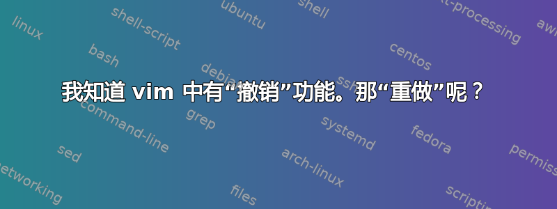 我知道 vim 中有“撤销”功能。那“重做”呢？