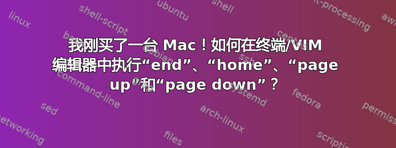 我刚买了一台 Mac！如何在终端/VIM 编辑器中执行“end”、“home”、“page up”和“page down”？