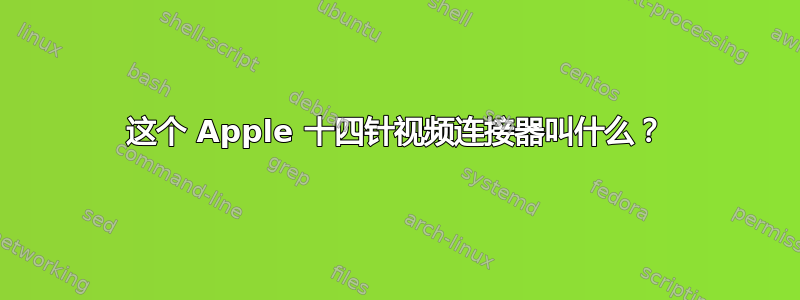 这个 Apple 十四针视频连接器叫什么？