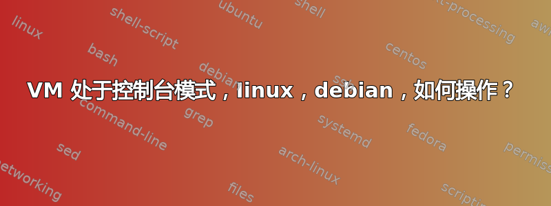 VM 处于控制台模式，Iinux，debian，如何操作？